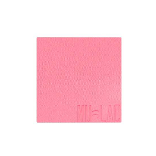 POLVERE COMPATTA GUANCE ARIEL 06