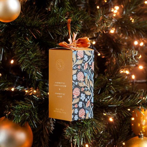 Fig & Spices Self Care Set (soap&hand cream)