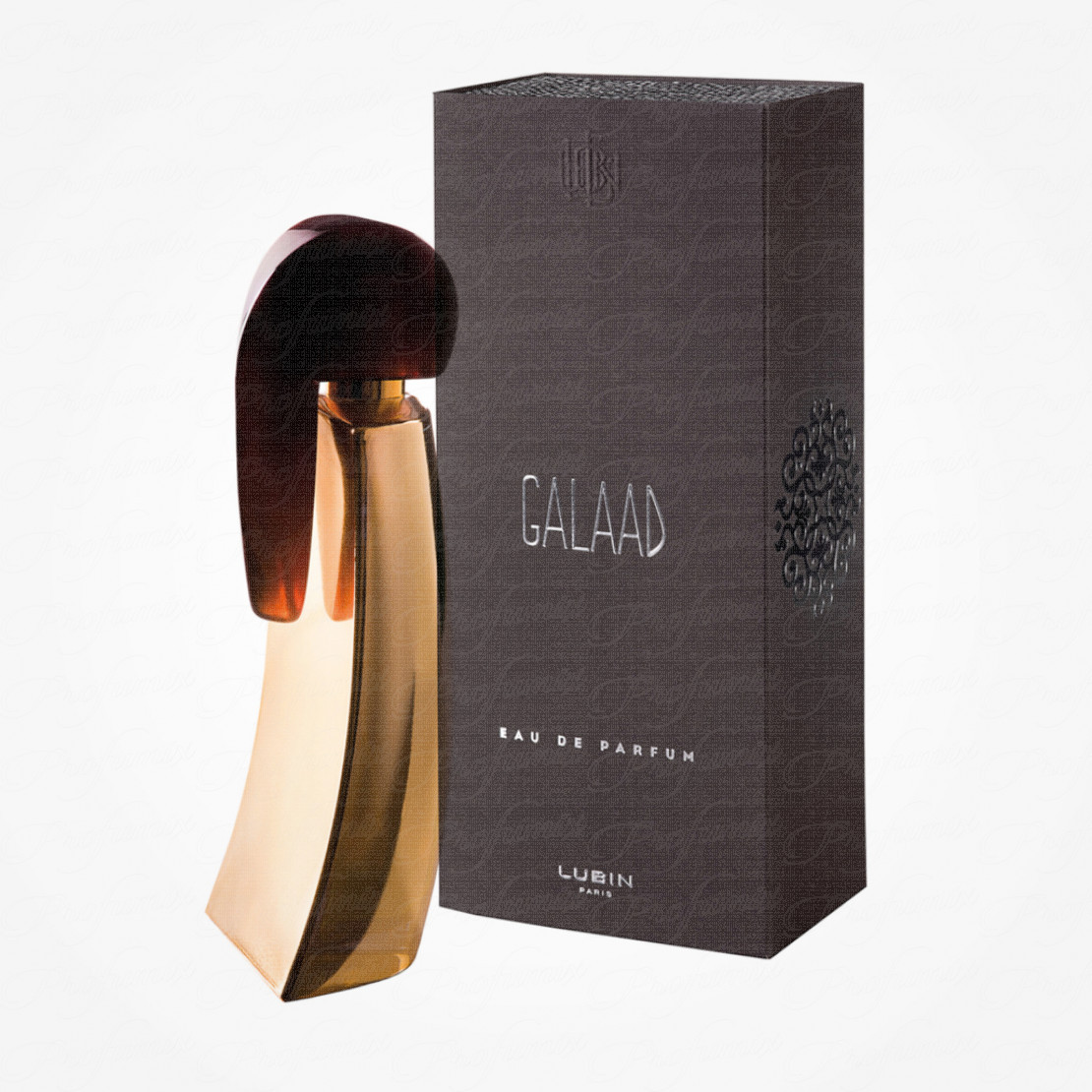 GALAAD EAU DE PARFUM 100ML