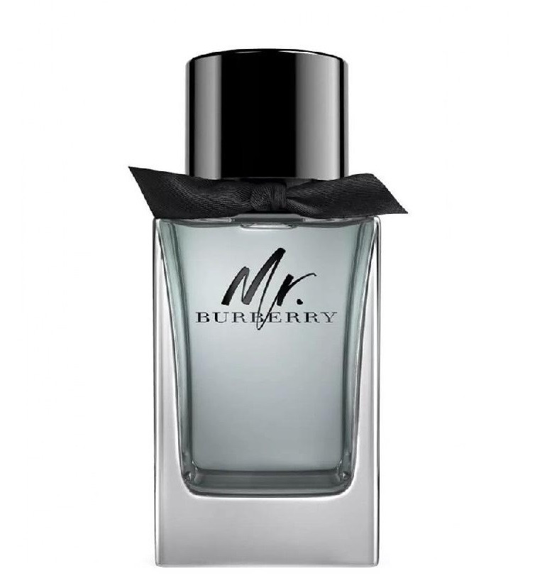 Mr. Burberry Pour Homme EDT 100 ML