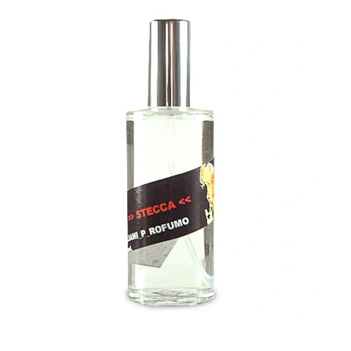 STECCA EAU DE PARFUM 100 ML
