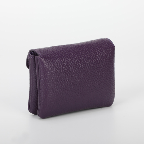 PORTACARTE PICCOLO CON PATTA VIOLA