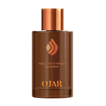 EAGLE EYED STRANGER EAU DE PARFUM 100ml