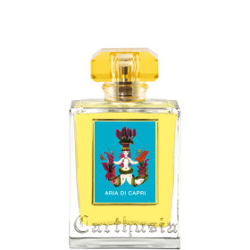 ARIA DI CAPRI EAU DE PARFUM 100ML