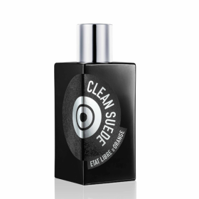 CLEAN SUEDE EAU DE PARFUM 100ML