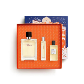 Terre d'Hermès Eau De Toilette Set 100ml + 15ml + Shower gel 40ml 