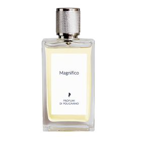 MAGNIFICO Eau de Parfum 100 ml