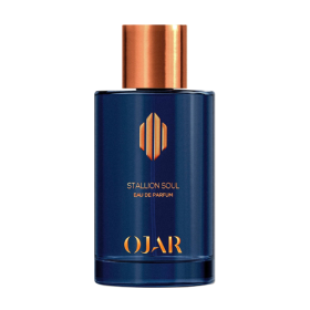 STALLION SOUL EAU DE PARFUM 100ml
