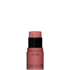 ALL IN ONE - BLUSH N.43 ROSA